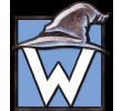 Wise Wizard Games
