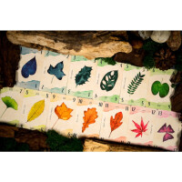 Joekas World 13 Leaves (DE) productbox